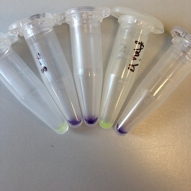 30401959171_1109461c0c_z