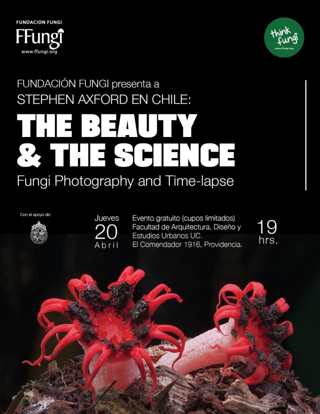 Stephen Axford en Chile FFungi