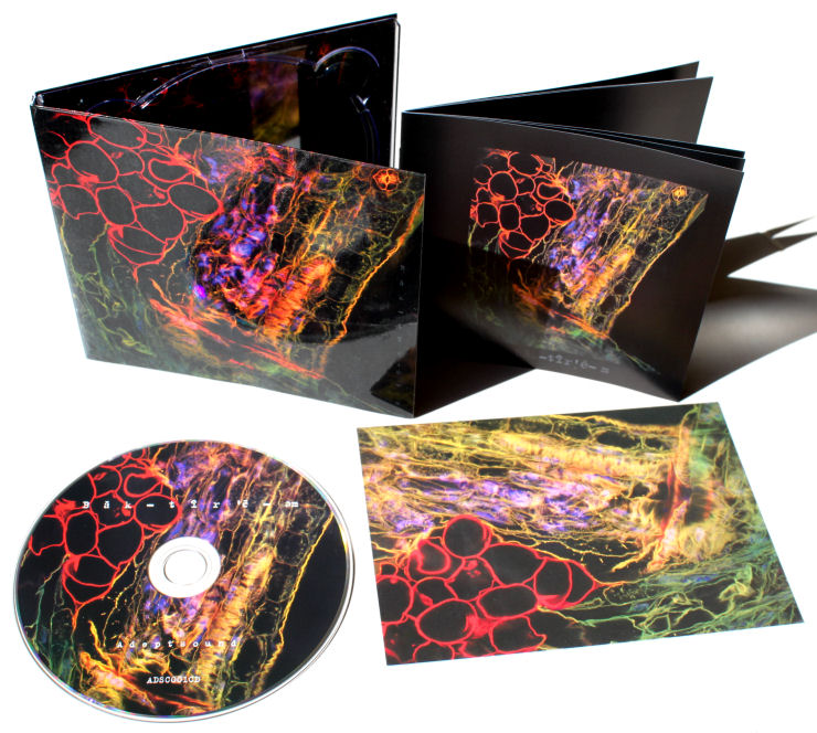 4941844157_6f45c6426e_o copy